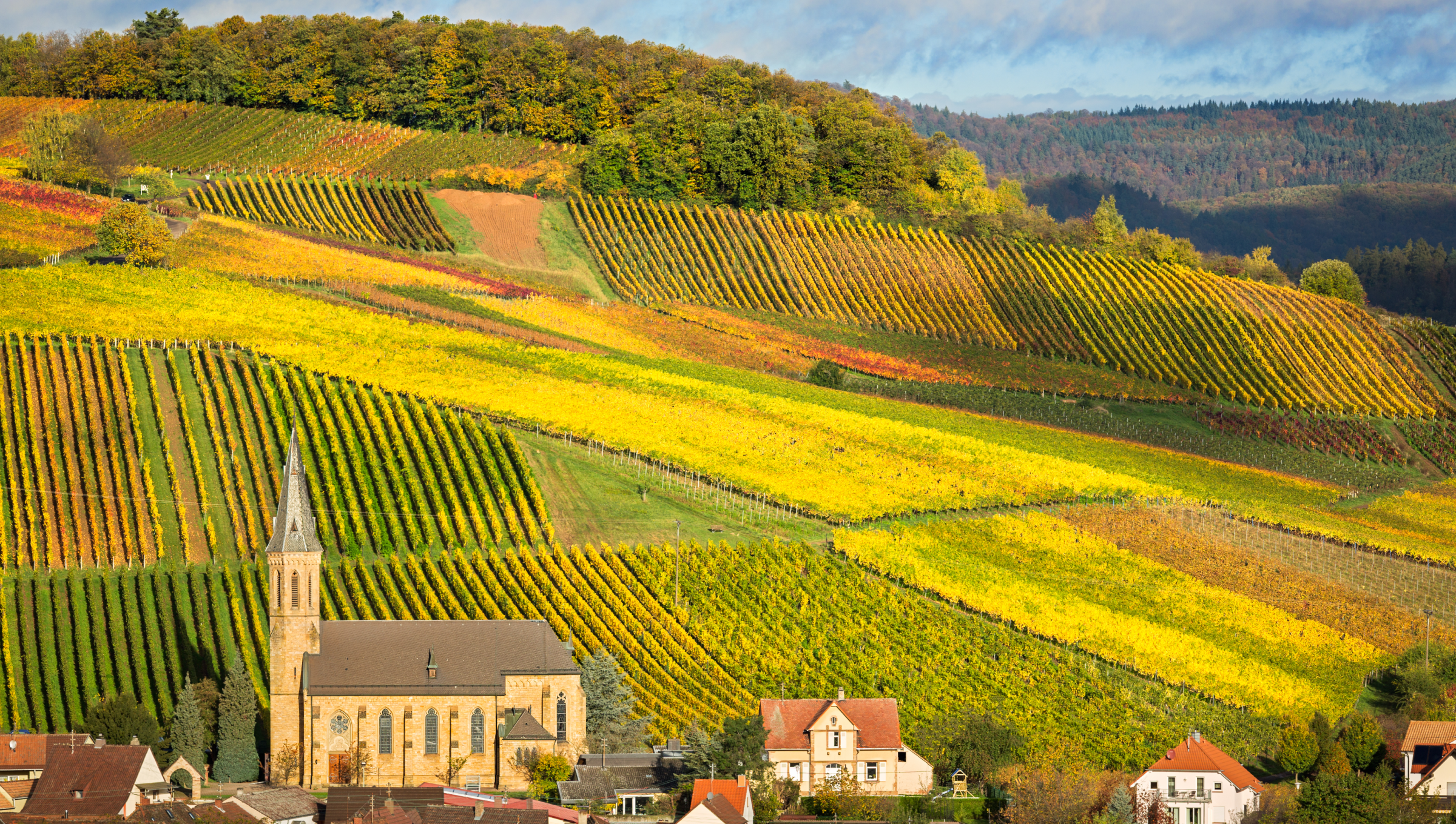 Kirche inmitten malerischer Weinberge im Herbst, gelb und grün gefärbt, mit Dorfhäusern im Vordergrund.