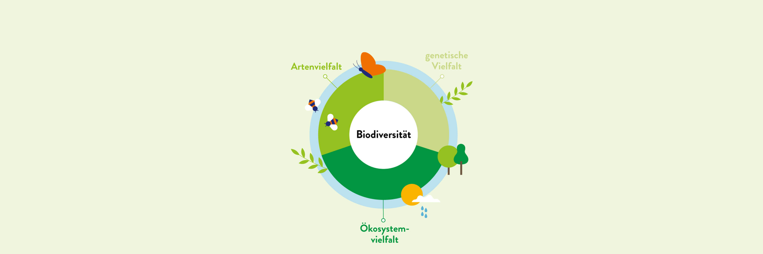 Erklärgrafik Biodiversität.