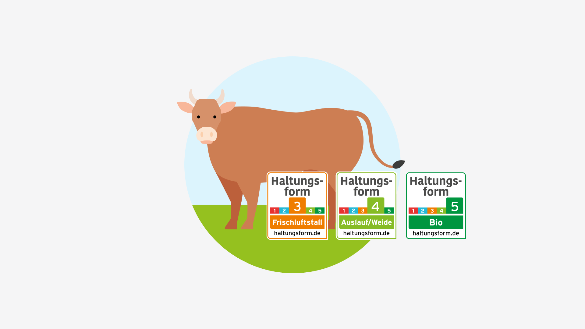 Grafik einer Weidekuh.