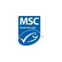 MSC