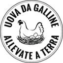 Uova da galline allevate a terra