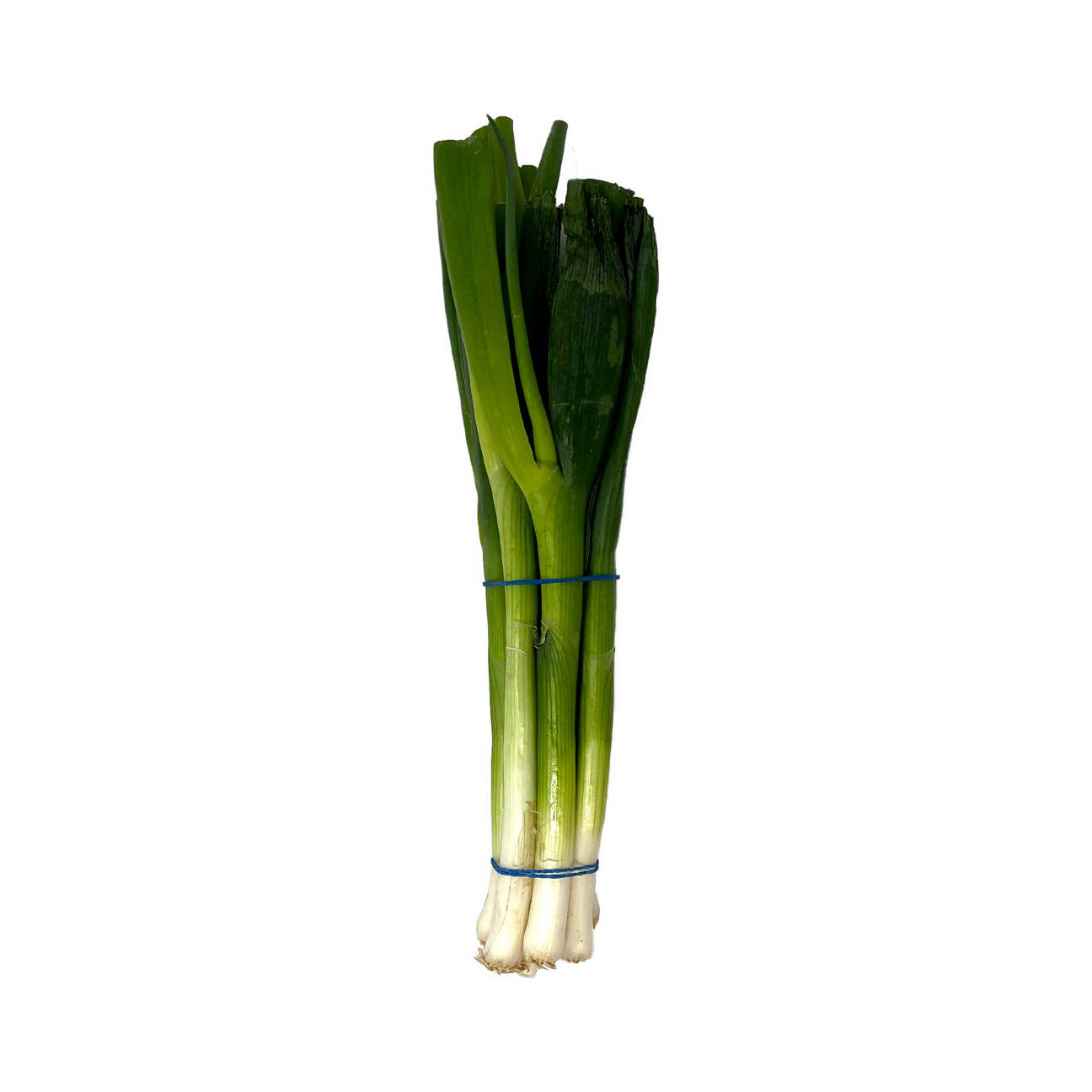 Scallion | ALDI IE