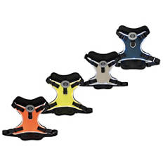 Harnais pour chien à LED
