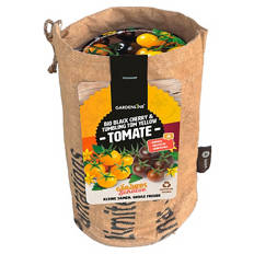 Kitchengarden XL, Tomate black