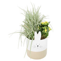 Bepflanzter Kermamiktopf Hasengesicht