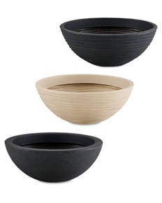 Plant Bowl