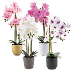 Orchidea artificiale