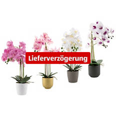 Naturgetreue Orchidee