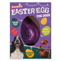 Easter Egg for Dogs