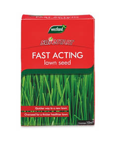 Continuous Release Plant Food