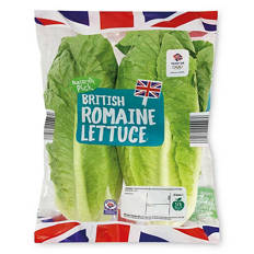 British Romaine Lettuce