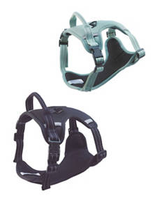 Autumn Dog Harness
