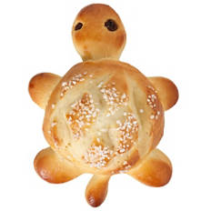 Tortue