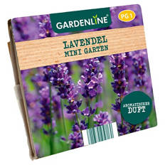 Anzuchtset, Lavendel