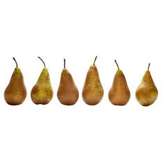 Bio Birnen 600 g