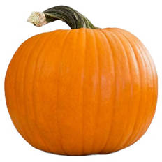 Halloween-Schnitzkürbis