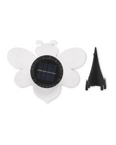 Solar Etched Insect Wall Art