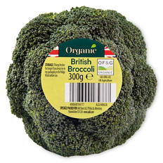 Broccoli