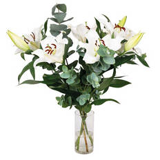 Premium Lilies