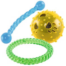 Zunanja pasja igrača