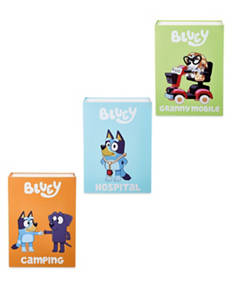 Bluey Role Play Book