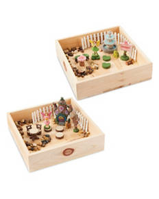 Fairy Garden Kit
