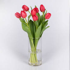 Tulips