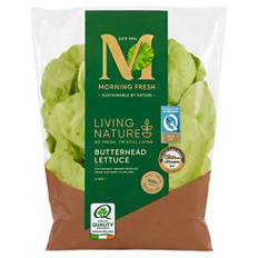 Living Butterhead Lettuce