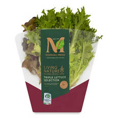 Irish Living Lettuce