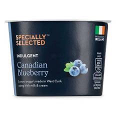 Blueberry Indulgence Yogurt