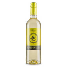Chilean Sauvignon Blanc