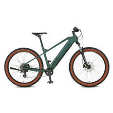 E-Bike DICE 1.0