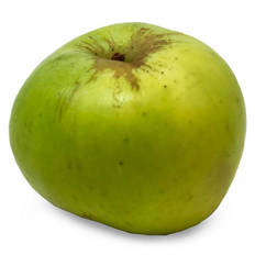 Bramley Apple Each