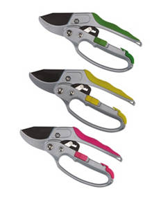 Ratchet Pruner