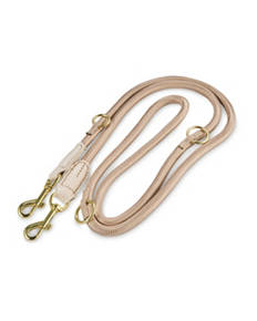Dog Collar/Lead