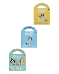 Bluey Carry Handle Book