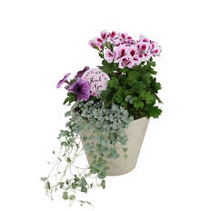 Tongefäß bepflanzt