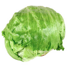 Eisbergsalat, Stück