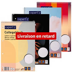Assortiment de cahiers à spirale