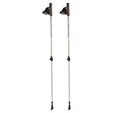 Nordic Walking Stöcke, Grau