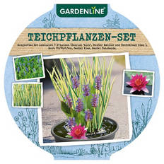 Mini-Teich, rot