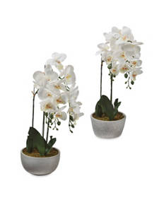 Faux Orchid