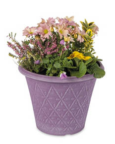 Springtime Planter