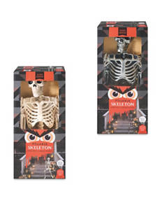 Posable Skeleton