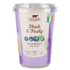 Thick & Fruity Blueberry Irish Yogurt