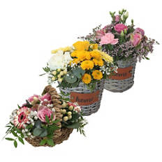 Arrangement pour la fête des mères, corbeille d'écorce rose