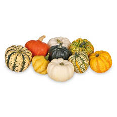 Mixed Squash