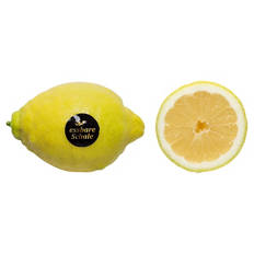 Zitronen Stück