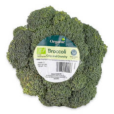 Broccoli