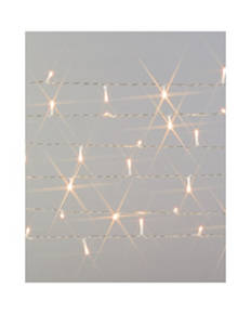50 LED Light Chain